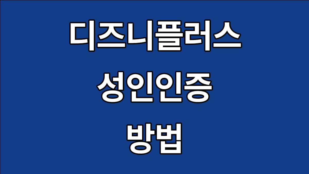 디즈니 플러스 성인인증 방법