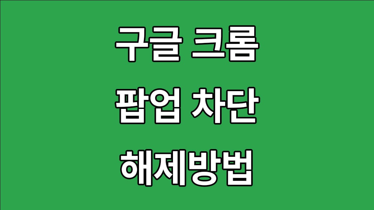 크롬 팝업 차단 해제방법