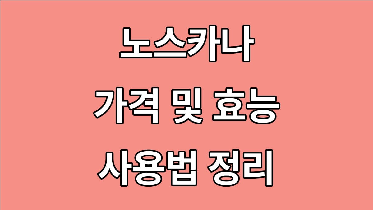 노스카나 가격 효능 사용법 정리