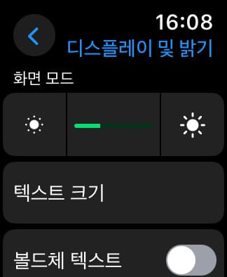 애플워치 디스플레이 밝기