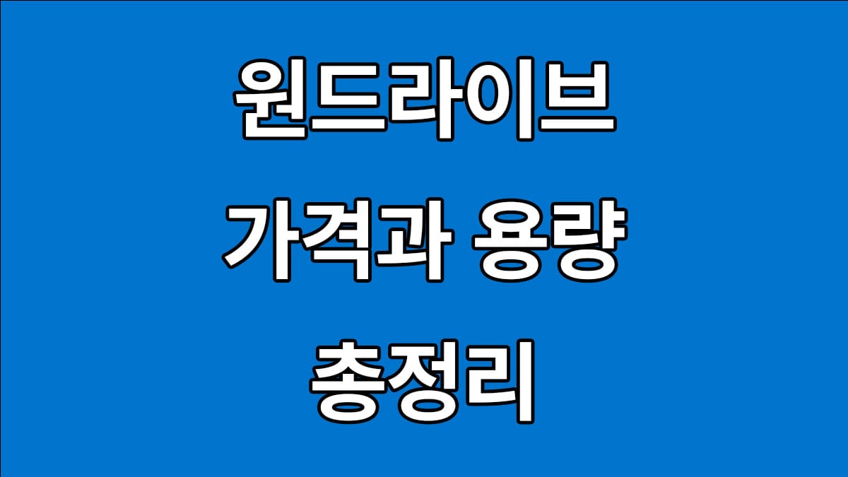 원드라이브 가격 용량 총정리